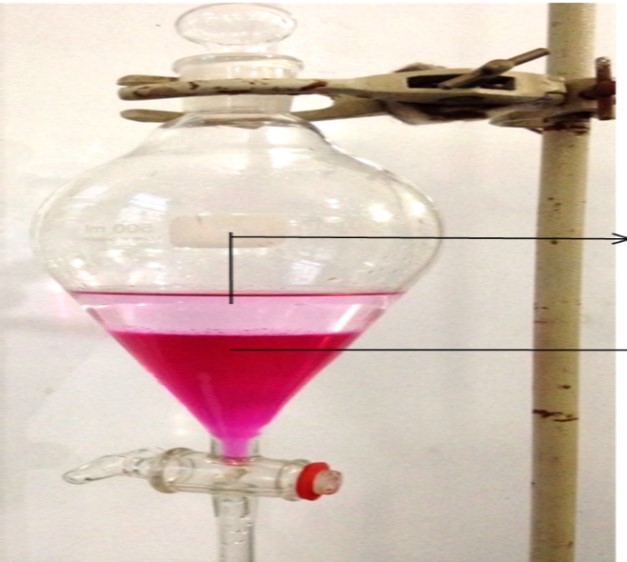 Reliable GlobeStyle Separation Funnels from Thomas Scientific